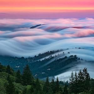 Meet your Posher, Mariana